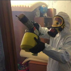 Уничтожение клопов в квартире. Проспект Славы